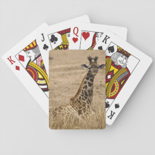 Masai Giraffe, Giraffa camelopardalis, resting Spielkarten