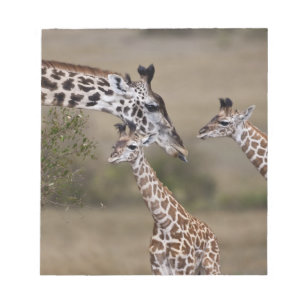Masai-Giraffe (Giraffe Tippelskirchi) Notizblock
