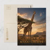 Masai-Giraffe-Savanne TIEREN Postkarte (Vorne/Hinten)