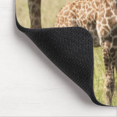 Masai-Giraffen, Giraffa camelopardalis 2 Mousepad (Ecke)