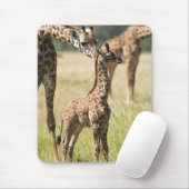 Masai-Giraffen, Giraffa camelopardalis 2 Mousepad (Mit Mouse)