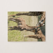 Masai-Giraffen, Giraffa camelopardalis 2 Puzzle (Horizontal)