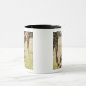 Masai-Giraffen, Giraffa camelopardalis 2 Tasse (Zentrum)