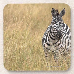 Masai Mara, Kenia Getränkeuntersetzer