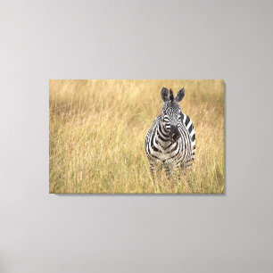 Masai Mara, Kenia Leinwanddruck