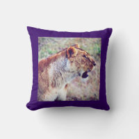 Masai Mara Lion