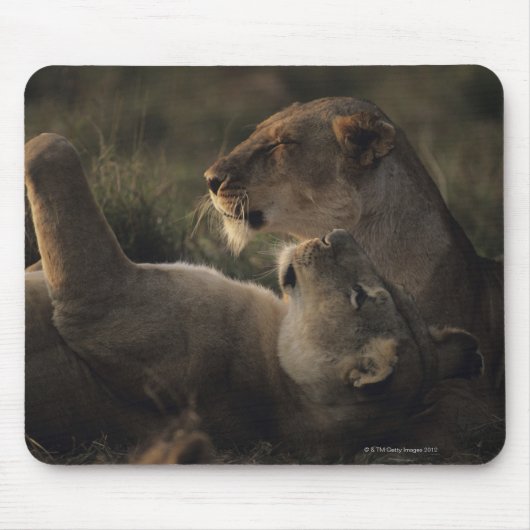 Masai Mara National Reserve 7 Mousepad (Vorne)
