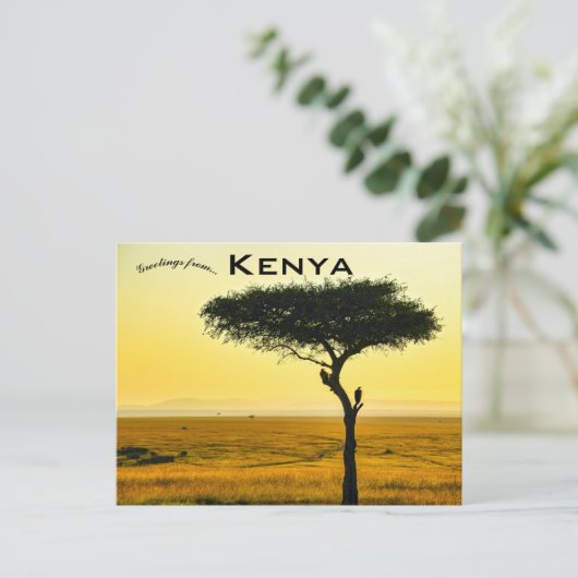 Masai Mara National Reserve in Kenia Postcard Postkarte (Stehend Vorderseite)