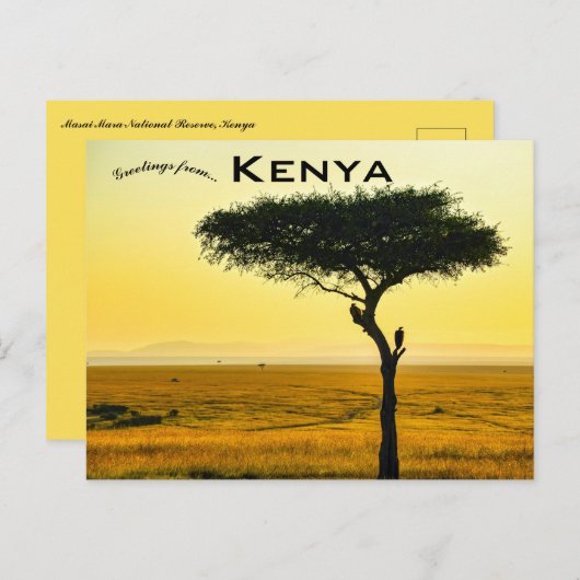 Masai Mara National Reserve in Kenia Postcard Postkarte (Vorne/Hinten)