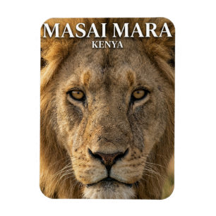 Masai Mara Nationalreservat Kenia Magnet