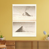 Mascareigne, Vesuve Leinwanddruck (Insitu (Wohnzimmer))