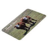 Masculine Cow Vielen Dank Magnet (Linke Seite)