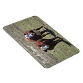 Masculine Cow Vielen Dank Magnet (Rechte Seite)