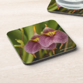 Masdevallia Getränkeuntersetzer (Linke Seite)