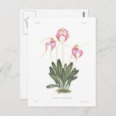 Masdevallia henriettae postkarte (Vorne/Hinten)