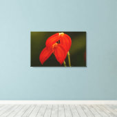 Masdevallia ignea leinwanddruck (Insitu (Holzboden))