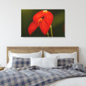 Masdevallia ignea leinwanddruck (Insitu (Schlafzimmer))