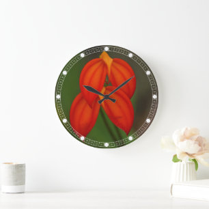 Masdevallia ignea Orchid Große Wanduhr