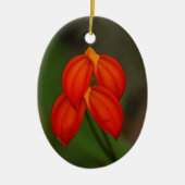 Masdevallia ignea Orchid Keramik Ornament (Vorne)