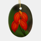 Masdevallia ignea Orchid Keramik Ornament (Hinten)