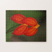 Masdevallia ignea Orchid Puzzle (Horizontal)