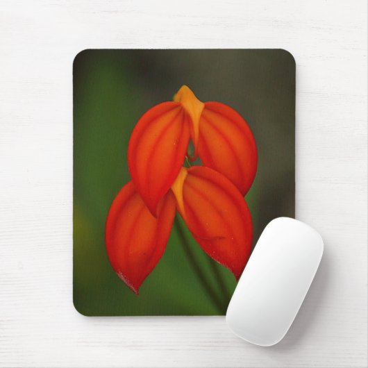 Masdevallia ignea Orchidee Mousepad (Mit Mouse)