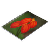 Masdevallia ignea Orchidee Notizblock (Linke Seite)