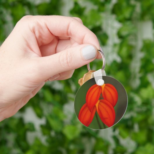 Masdevallia ignea Orchidee Schlüsselanhänger (Hand)