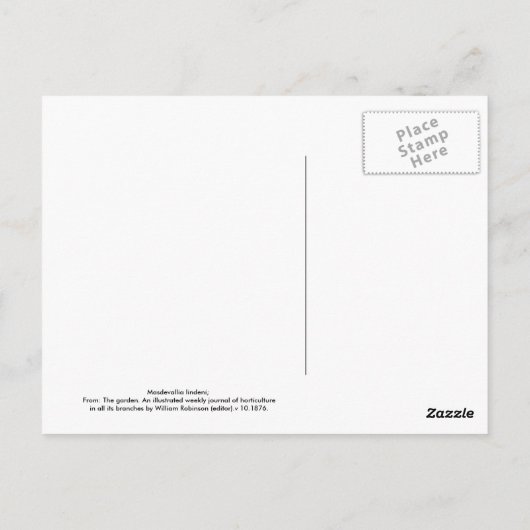 Masdevallia lindeni postkarte (Rückseite)