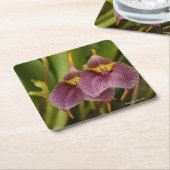 Masdevallia Rechteckiger Pappuntersetzer (angewinkelt)