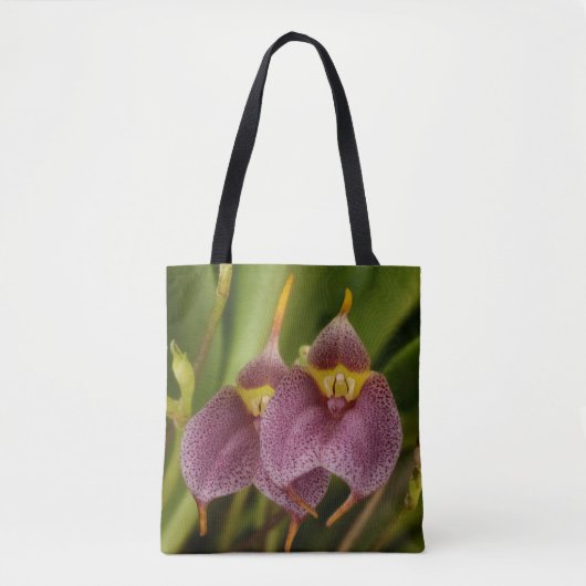 Masdevallia Tasche (Vorderseite)