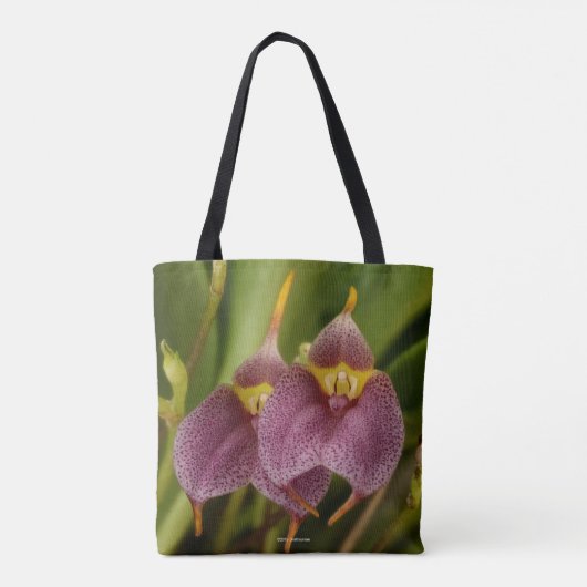 Masdevallia Tasche (Rückseite)