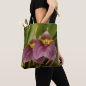 Masdevallia Tasche (Von Nahem)