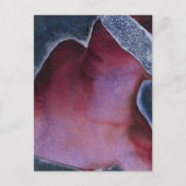 Maske 2009 postkarte (Vorderseite)