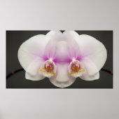 Maske des Orchideen Poster (Vorne)