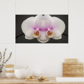 Maske des Orchideen Poster (Küche)