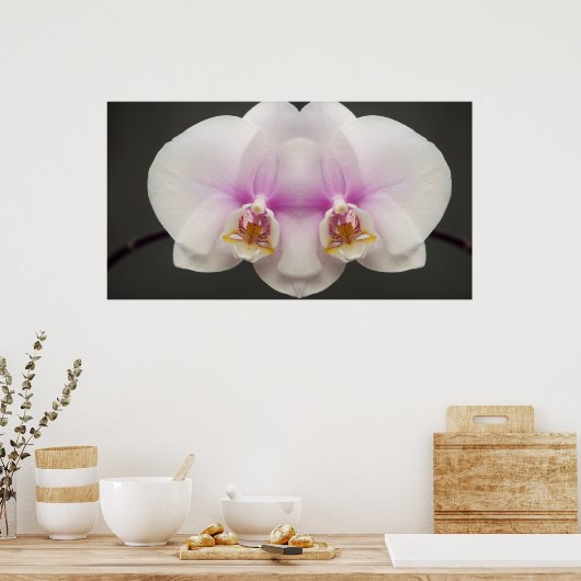 Maske des Orchideen Poster (Küche)