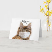 Maske mit Maine-Coon-Katze Karte (Gelbe Blume)