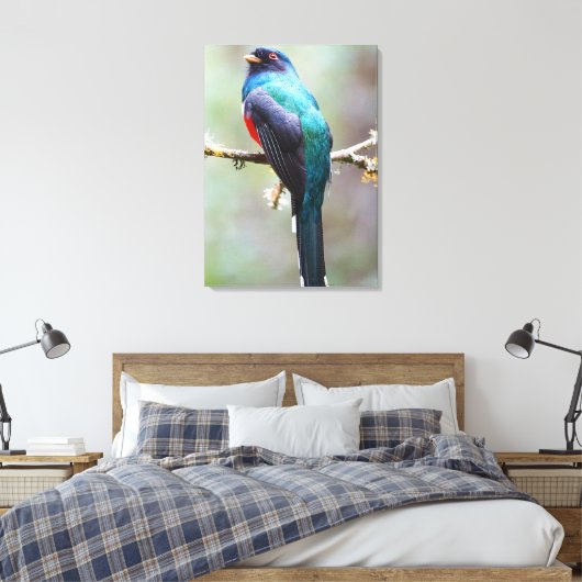Masked Trogon Leinwanddruck (Insitu (Schlafzimmer))