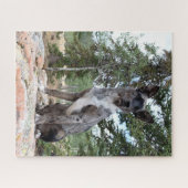 Maskierte Rinderhunde beobachtet Szene Puzzle (Horizontal)