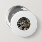 maskiertes Beispiel Button (Vorne & Hinten)