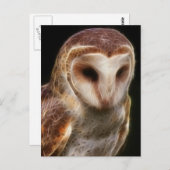 Maskiertes Owl-Fraktal Postkarte (Vorne/Hinten)