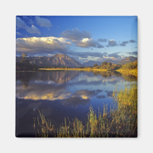Maskinonge Lake im Waterton Lakes National Park 3 Magnet