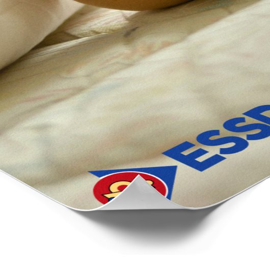 Maslow vor Bloom Poster (Ecke)