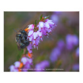 Mason und Heather Fotodruck (Vorne)