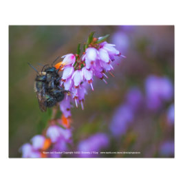 Mason und Heather Fotodruck