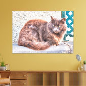 Maspalomas Cat Leinwanddruck (Insitu (Wohnzimmer))