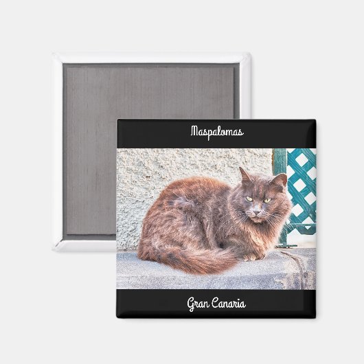 Maspalomas Cat Magnet (Vorderseite/Rückseite)