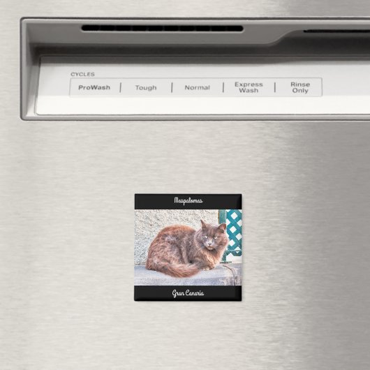 Maspalomas Cat Magnet (In Situ (Geschirrspüler))