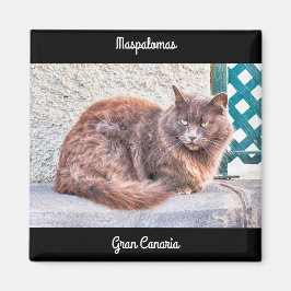 Maspalomas Cat Magnet